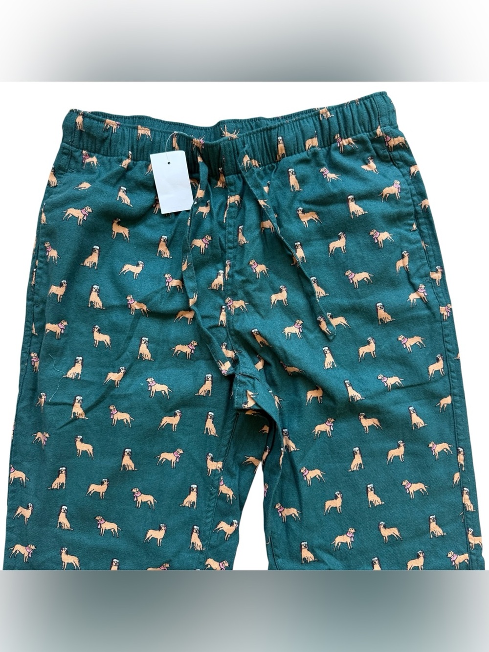 J.Crew Golden Retriever Holiday Dog Print Pants Small NWT Christmas Preppy Green